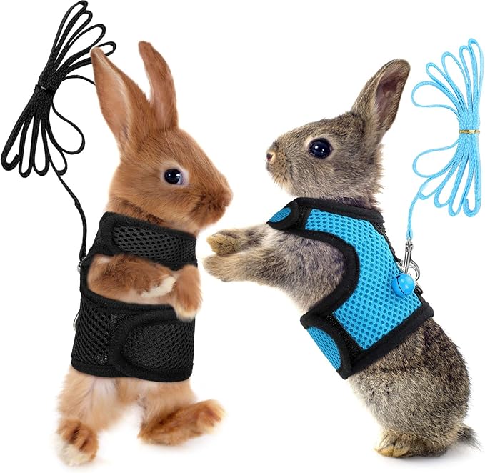 SATINIOR 2 Sets Guinea Pig Harness and Leash Adjustable Soft Mesh Harness Bell No Pulling Comfort Vest for Baby Ferret Rats Hamster Bunny Rabbit Chinchilla and Small Pet(Blue, Black,L)