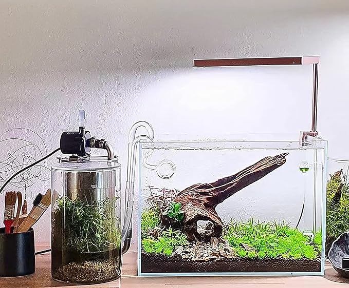 Allcolor Artisan Grade Ultra Clear Rimless Aquarium Tank (10GaI) | Low Iron Glass Fish Tank for Professional Aquascaping and Planted Layouts, 6-60 Gallons (10GaI - Top Glass Canopy)