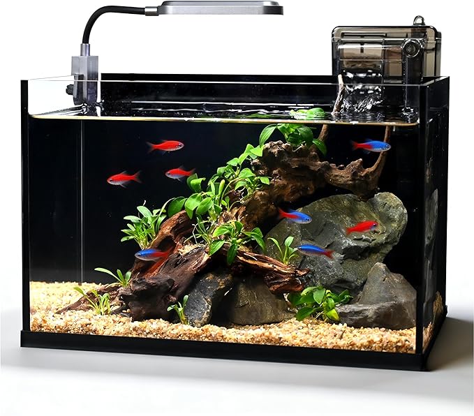 2.8 Gallon Glass Fish Tank,Small Fish Tank with Light and Filter | Aquarium Starter Kit,Nano Shrimp Aquarium for Small Fish, Shrimp,or Betta,Desktop Corner