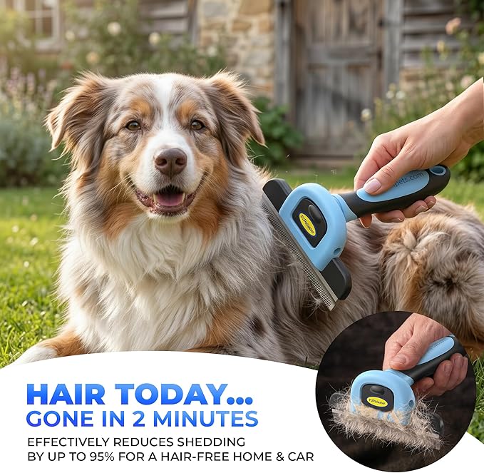 DakPets Deshedding Tool | Stainless Steel Grooming Brush for Shedding Fur Removal - Cats and Dogs