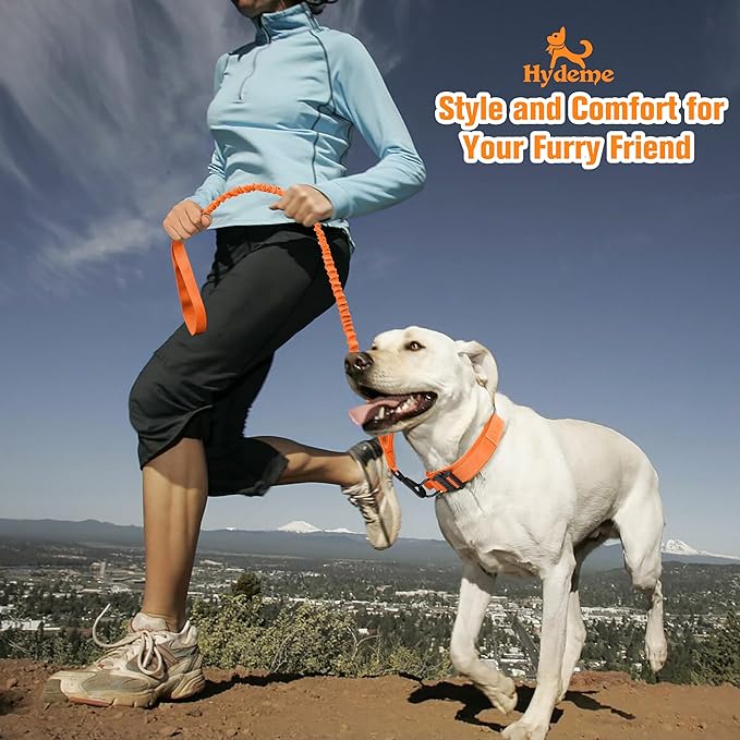 HYDEME Tactical Dog Collar Adjustable Nylon Collar with Control Handle and Heavy Metal Buckle for Medium and Large Dogs, with Patches&Airtags Case&Poop Bag Dispenser&Portable Bowl.(M, Orange-Set)