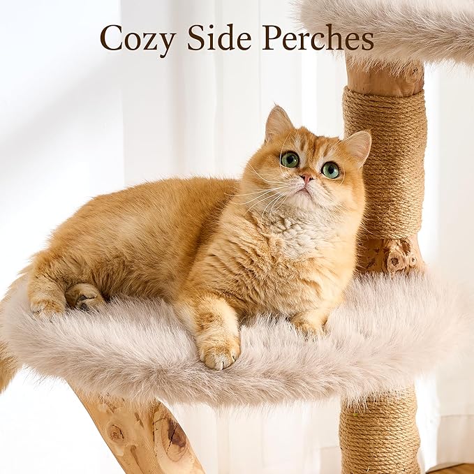 HITTITE Natural Wood Cat Tree Tower with Scratching Post, 56.8 Inches Tall Modern Cat Tower with Cozy Bed and Condo, Luxury Real Branch Cat Tree for Indoor Cats Large Adult, Khaki.