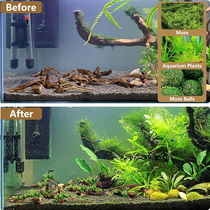 Tfwadmx Natural Small Coral Driftwood for Aquarium Decor 26 Pcs 4-6" Fish Tank Decorations Reptile Decor Assorted Driftwood Branch Reptile Tank Wood Decor