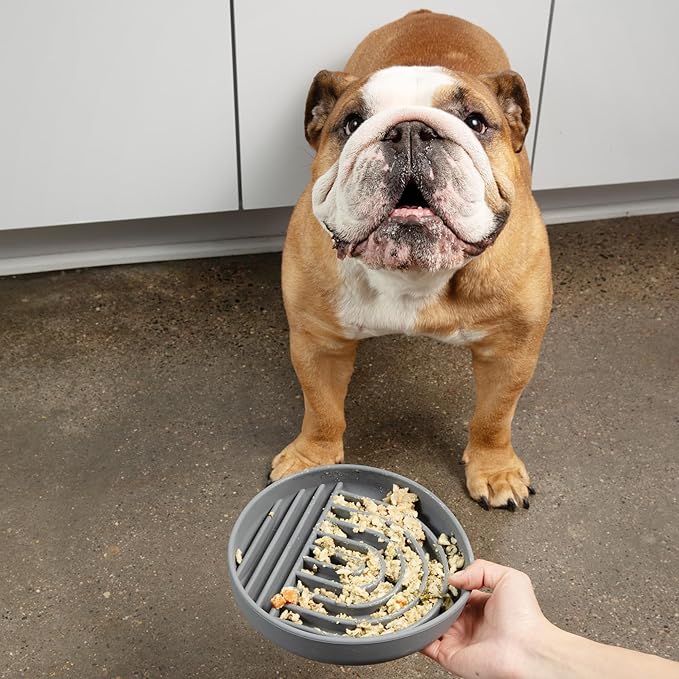 Should We Go? Slow Feeder for Dogs & Puppies, The Slowdown Bowl Silicone Slow Eating, Modern Lick Mat Design, Reduces Gulping, Fits 2 Cups, 7.5” Across x 1.5” Tall, Mealtime Challenge, Medium-Charcoal