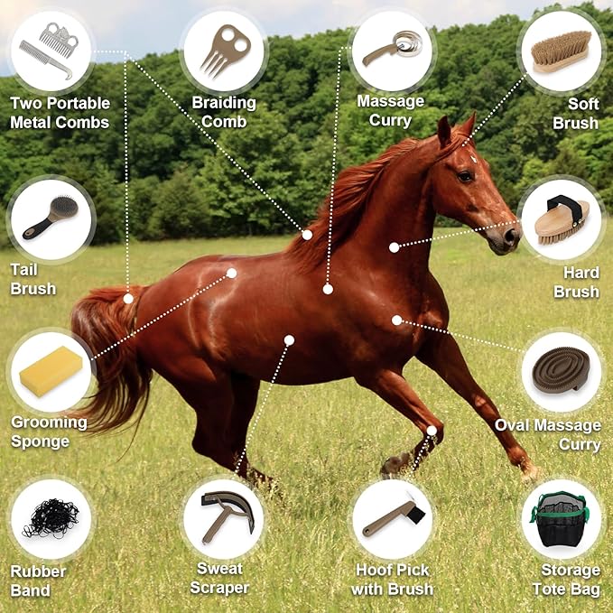 Horse Grooming Kit 14 Pieces, Horse Brushes Set for Grooming & Bathing Supplies, Professional Horse Supplies with Mane & Tail Comb, Curry Comb, Hoof Pick, Gloves & Mesh Tote Bag for Equine Care