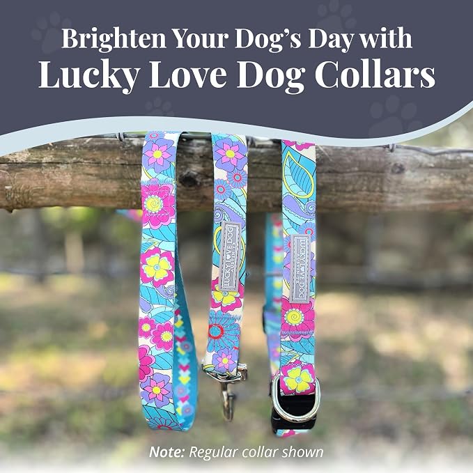 Lucky Love Dog Martingale Collar, Premium No Slip Martingale Collar for Medium Dogs, Great for Whippets, Greyhounds, and More (Caroline, Medium)