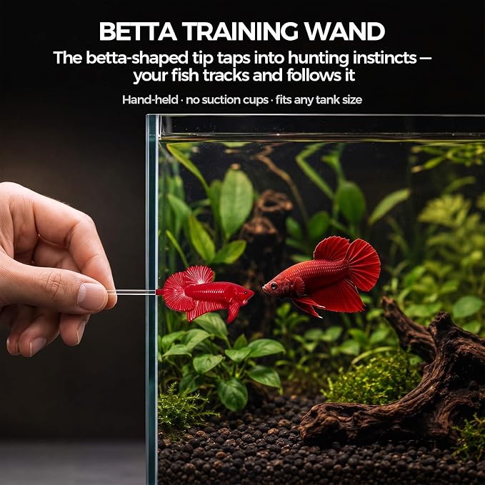 Betta Exercise Kit, Betta Fish Toys, 2 Training Wands and Mirror | Shatterproof acrylic mirror, interactive flaring and enrichment toys, fits any tank or bowl, gift set for betta lovers
