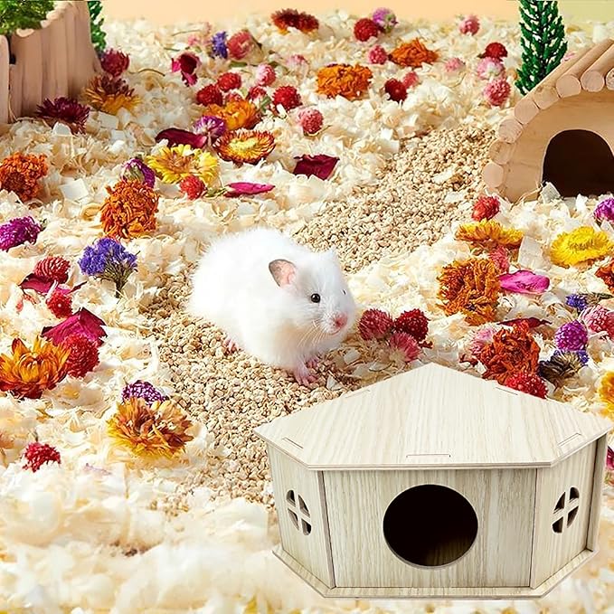 Amonk Triangle Hamster Hideout Wooden Syrian Hamster Toys 8x8x4in Small Animals Houses Exploring Toys with Hole & Windows for Young Gerbil, or Baby Mouse and Other Small Pets