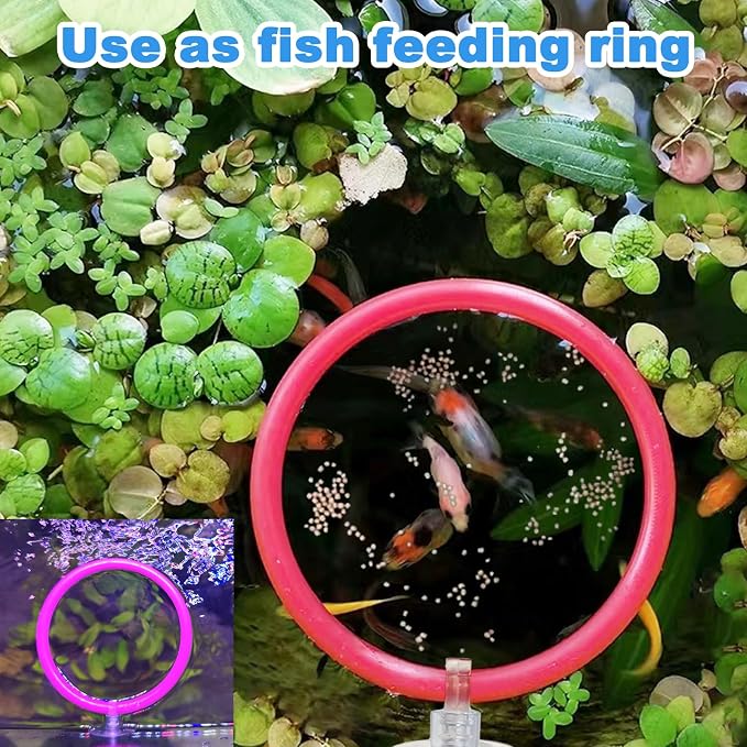 Betta Fish Toys - 4 Training Rings & 2 Bio Filter Balls, Beta Exercise Loop Toys and Nitrifying Balls Set, Betta Fish Tank Accessories Feeding Ring for Small Tank Decor Aquarium Water Conditioner