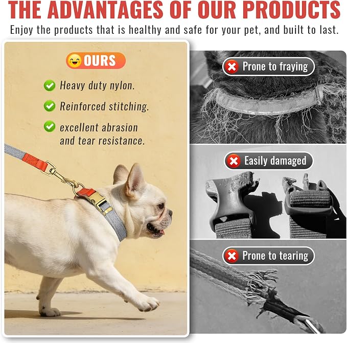 Dog Collar and Leash Set with Metal Quick Release Buckle, Adjustable, Breathable Nylon, Durable, Soft and Comfortable, No Pull for Walking and Training, Silver-Gray, M (12.6"-19.6")
