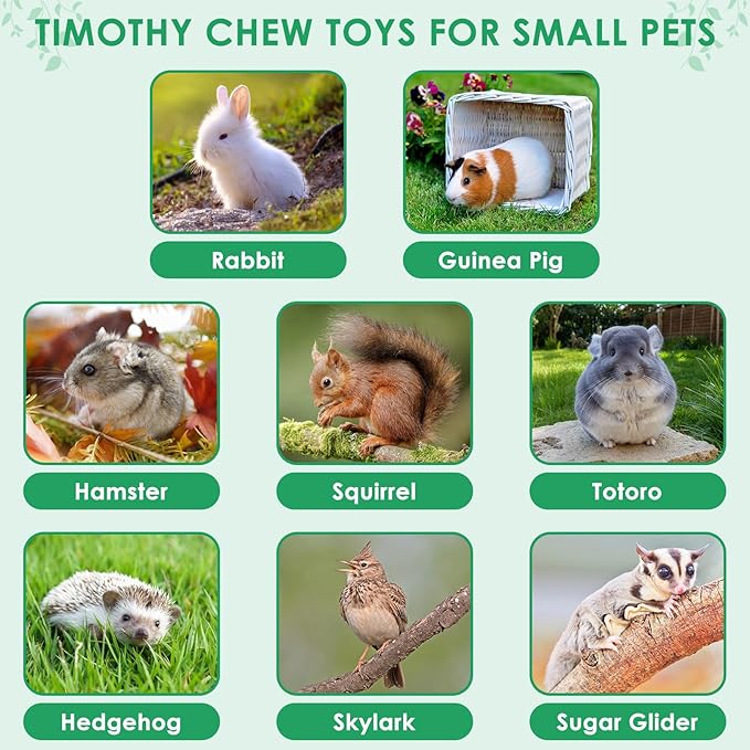 ERKOON 80PCS Bunny Chew Toys for Rabbits Teeth, Natural Rabbit Toys Apple Wood Sticks, Carrot, Timothy Grass Treats for Small Pets, Hamster, Chinchilla, Guinea Pig Dental Care and Treat Teething Toys