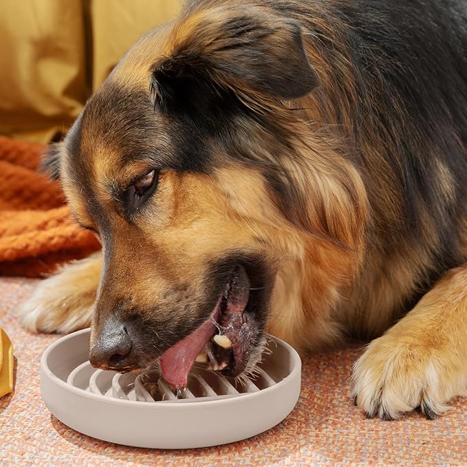 Should We Go? Slow Feeder for Dogs & Cats, The Slowdown Bowl Silicone Slow Eating, Modern Lick Mat Design, Reduces Gulping, Fits 2 Cups, 7.5” Across x 1.5” Tall, Mealtime Challenge, Medium-Sand