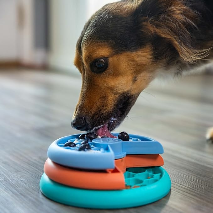 Outward Hound by Nina Ottosson Lickin’ Layers Small 3-in-1 Dog Puzzle Feeder, Lick Mat & Slow Bowl – Puppy Enrichment Toy for Small Dogs, Dishwasher Safe