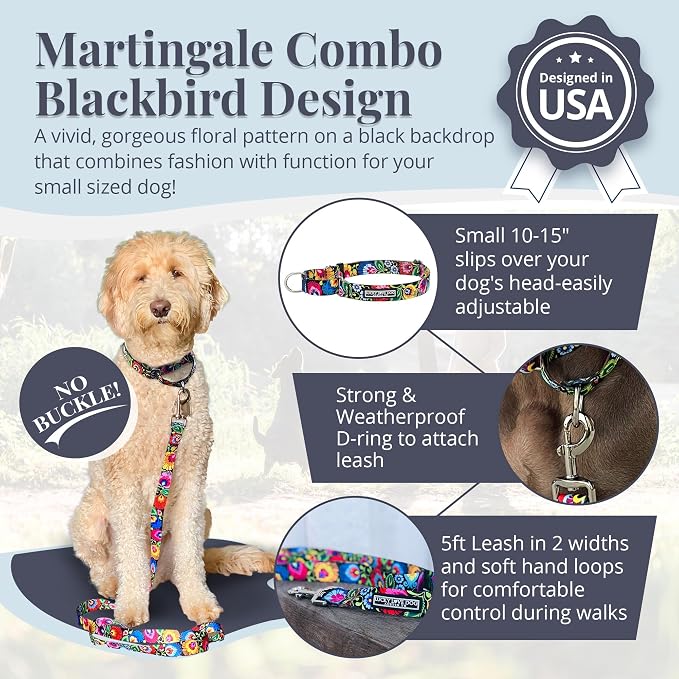 Lucky Love Dog Martingale Collar and Leash Set, Premium No Slip Collar and Leash Set, Great for Whippets, Greyhounds, and More (Blackbird, Small - Combo)