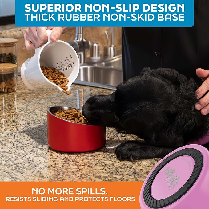 Master Pet Supply Stainless Steel Slanted Dog Cat Food Bowl - 16 oz Heavy Duty - Hyper Pink, Double Wall Insulated, Non-Slip Elevated Bowl for French Bulldogs Pugs Cats, Anti Rust Dishwasher Safe