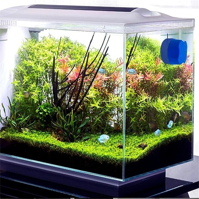Magnetic Mini Fish Tank Brush, Scraper Fish Bowl Magnet Brush for Glass Tank