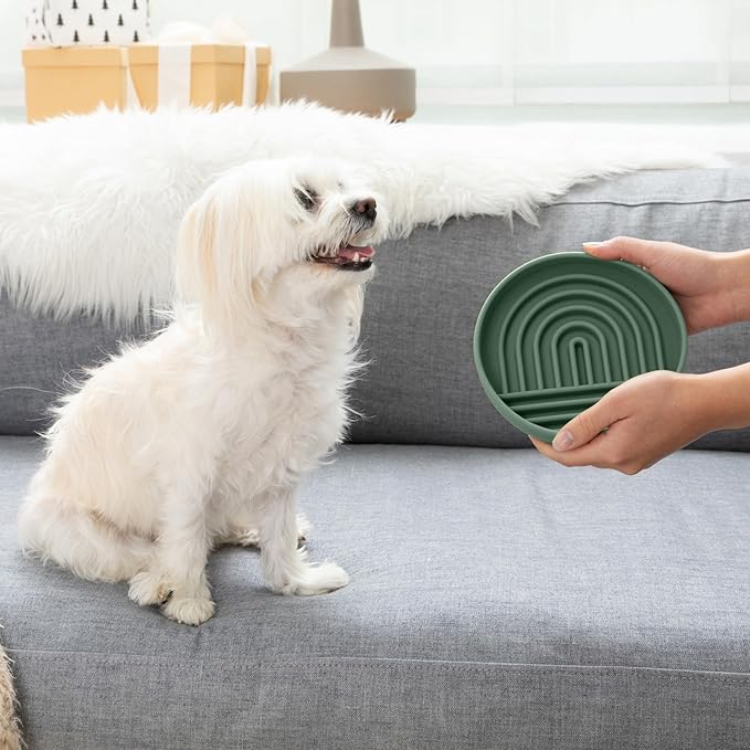 Should We Go? Slow Feeder for Dogs & Cats, The Slowdown Bowl Silicone Slow Eating Mealtime Solution with Modern Lick Mat Design, Reduces Gulping, Fits 1 Cup, 6” Across x 1.25” Tall, Small-Spruce