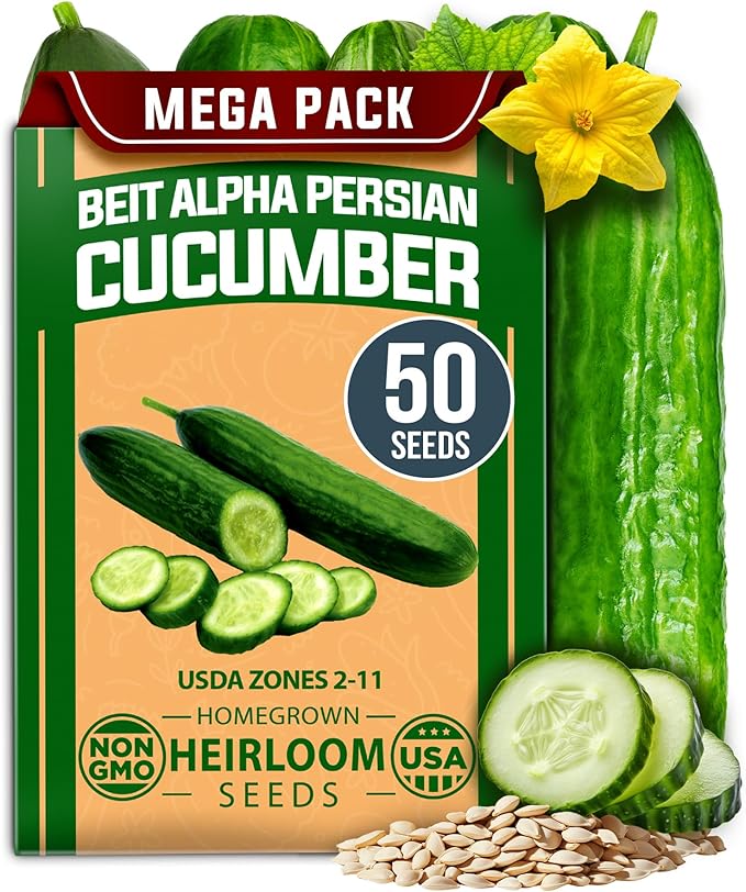 HOME GROWN Persian Cucumber Seeds 50+ Heirloom Non-GMO, Beit Alpha Variety, High Germination, Sweet Thin Skin, Burpless Snacking Cucumbers, Fast Growing, Indoor Outdoor Garden Crop (Cucumis sativus)