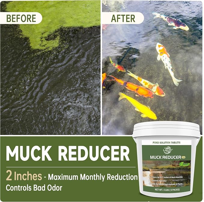 LMJP Muck Reducer for Ponds, Sludge Solution, Away Muck & Odor Control, 5LB | Pond & Lake Cleaning, Natural Beneficial Bacteria & Enzymes, Safe for Fish, Wildlife & Recreation, Treats Up To 30,000 Sq Ft