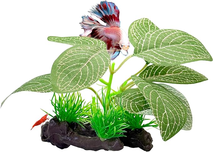 CTWPets Betta Driftwood Decor – Soft Silk Aquarium Plant for Betta Fish, Shrimp, and Tropical Tanks – Safe, Vibrant Aquascape Decoration (Mint Dot)