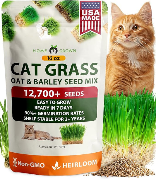 HOME GROWN Non GMO 1 Pound Cat Grass 12,700+ Seeds for Cat & Kittens Oat & Barley Mix 100% Heirloom, Grow Fresh Kitty Grass for Chewing, Pet Grass for Cats Indoor Garden