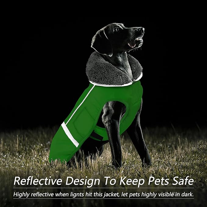Dogcheer Warm Dog Coat, Waterproof Dog Jacket Christmas Puppy Winter Coat with Buckle, Reflective Adjustable Pet Snow Jacket Turtleneck Fleece Sweater for Small Medium Large Dogs - Green, 2XL