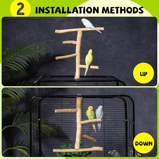 Natural Wood Bird Perch for Top of Cage, Cage Top Perch Play Stand for Parakeets, Cockatiels, Lovebirds and Small Conures, Multi-Level Training Branch for Small Medium Birds