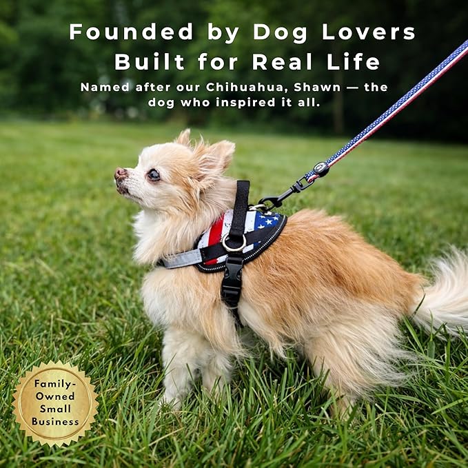 ShawnCo Essential Dog Harness, No-Pull Pet Vest with 3 Leash Clips, No Choke, Reflective, Adjustable and Padded, for Easy Walking and Training for Small, Medium and Large Dogs (White Sharks, XL)