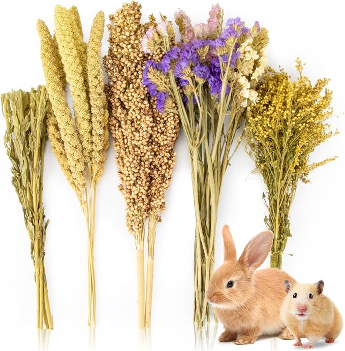 Sukh Natural Hamster Bedding Sprays - Foraging Habitat Decor Cage Accessories, Hideout Enrichment for Dwarf & Syrian Hamsters, Gerbils, Mice and Other Small Animals