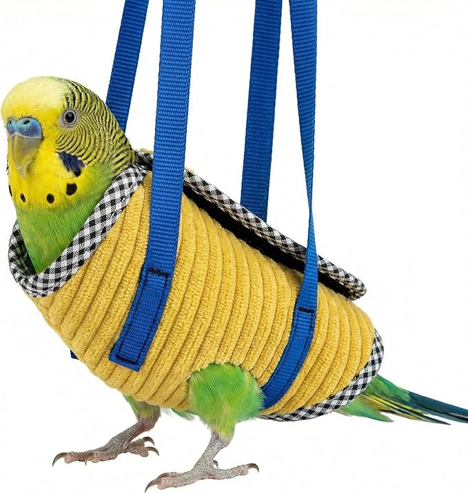 Portable Bird Carrier Bag with Harness, Escape Resistant Parrot Carrier & Bird Travel Bag for Parakeet, Cockatiel, Conure, Pigeon, Small Medium Birds, Random Color (Large)