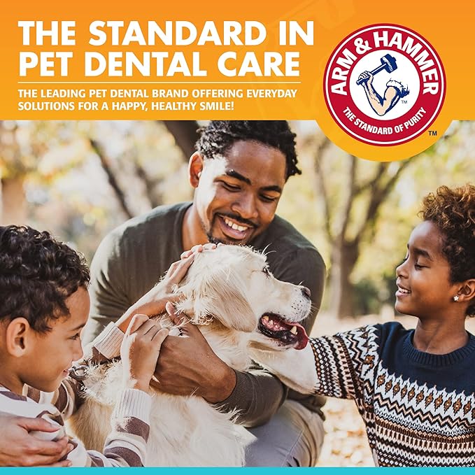 Arm & Hammer for Pets Dog Oral Care Spray, Mint Flavor Breath Freshener with Baking Soda for Brushless Plaque and Tartar Support, Easy Daily Dental Maintenance for Adult Dogs, 4 Fl Oz - 24 Pack