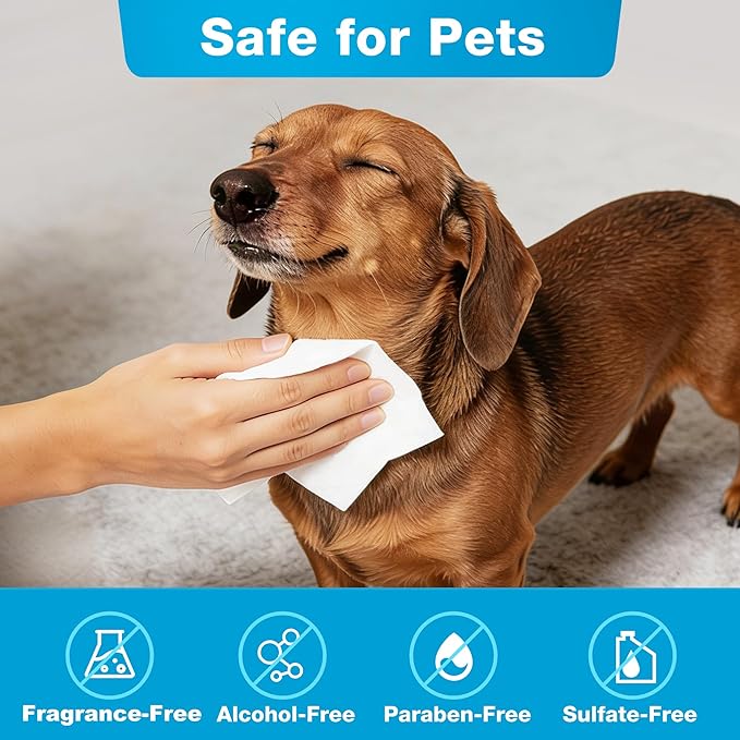 Prime Pets Dog Wipes for Paws and Butt, 300 Count, 8" x 6" Pet Grooming Wipes for Dogs Cats Cleaning Deodorizing, Unscented Dog Paw Wipes, Puppy Wipes for Face Bum Eyes Ears Teeth