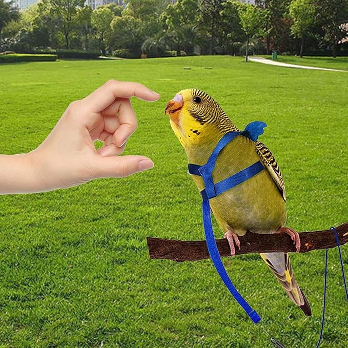 Birds Harness Leash Outdoor Flying Escape-Proof Adjustable Training Design Anti-Bite Bird Rope with Cute Wing for Parrots Scarlet Keck Mini Macaw Love Birds (Blue)