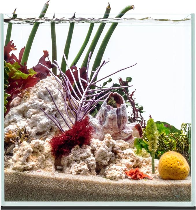 UNS Ultra Clear Rimless Tank - 7.1GAL | 27L - 11.81x11.81x11.81 | 30x30x30 CM, 5mm Glass Thickness, Leveling Mat Included - Low Iron, High Clarity Fish Tank w/ 45° Mitered Edge - [30C]