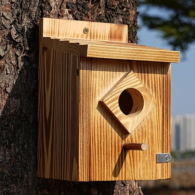 Waterproof Wooden Blue Bird House, Weather Treated Bluebird Box Houses for Outdoors, Nesting Box for Wrens, Swallows, Finches, Chickadee