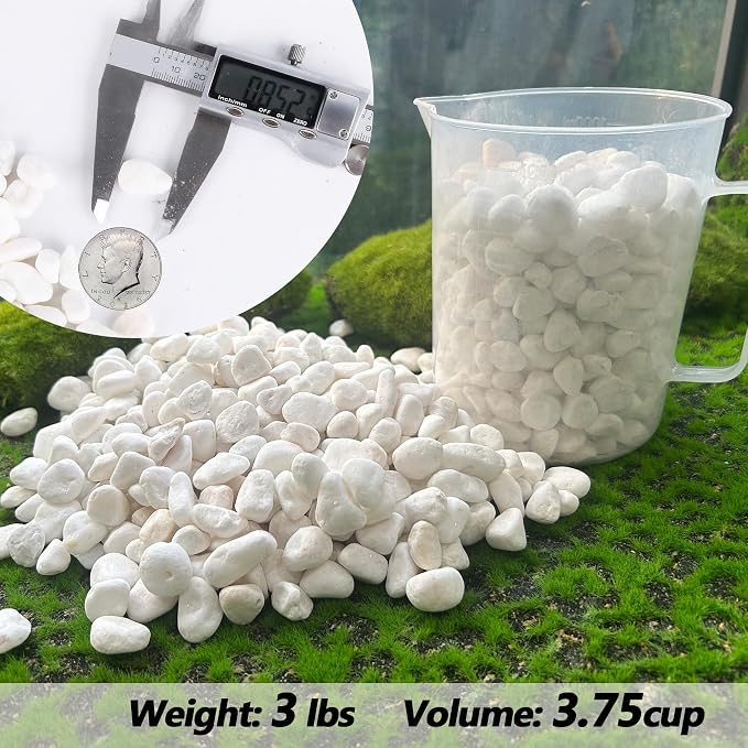 Decorative Garden Pebbles, 3 LB Natural White Rocks for Indoor & Outdoor Planters, Walkways, Vase Fillers & Landscaping Décor – Multiple Sizes & Colors