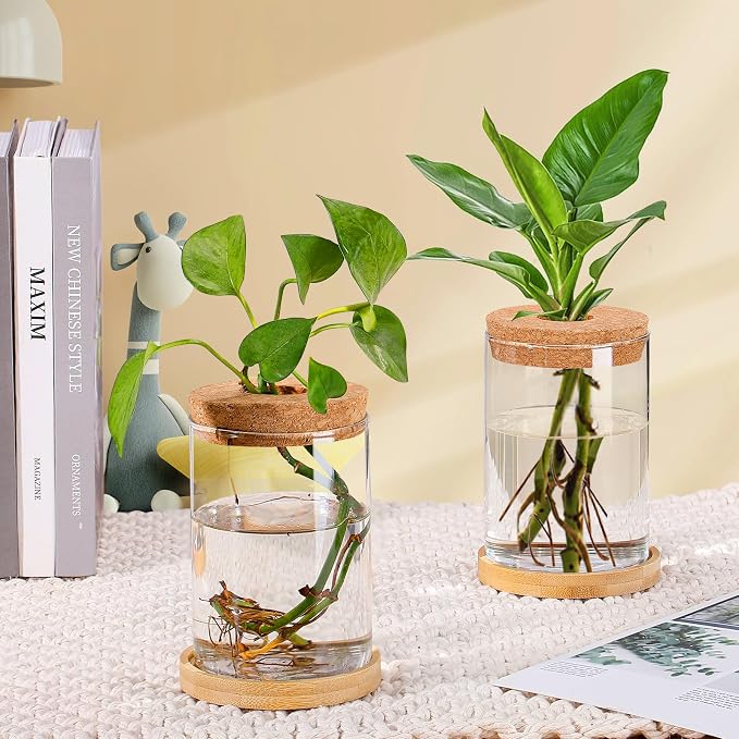Plants Propagation Station, Gardening Gifts for Women Mom Plant Lovers | Biggun 2Pcs Desktop Plant Terrarium Glass Hydroponic Vases, Water Plant Jars (Thick Straight Shape, Separated Tray Style)