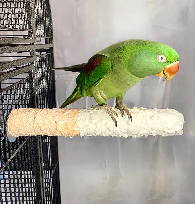Polly's Edible Cuttlebone Calcium Bird Cage Perch for Budgies, Parakeets, Amazons, Blue & Golds, Macaws and Cockatoos.… (Orange, Large)