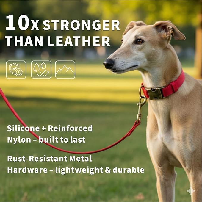 Silicone Dog Collar and Leash Set, Waterproof & Odor-Proof Puppy Collar for Small Dogs, Soft Flexible Leather-Look Dog Collars, Durable Thick Adjustable Pet Collar (Red, Medium (12.5-20" Neck))