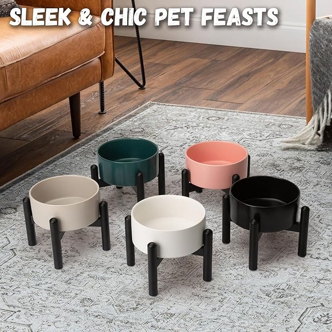 Raised Ceramic Dog Bowl - Elevated Food Water Dish with Stainless Steel Stand - for Small to Medium Dogs - 6 Inch - 2 Cups (28.75 fl oz) - Green
