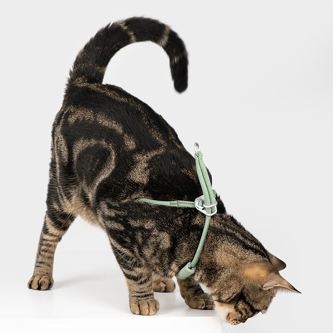 Escape Proof Y Shape Cat Harness Anti-Choke Adjustable Soft Comfortable Padded Cat Vest Harness Anti Escape Cat Rope Harness for Kitten Small Medium Large Cats (Burgundy, M)
