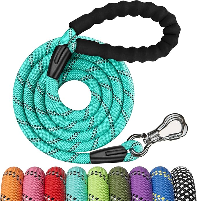 NTR 8FT Heavy Duty Dog Leash, Rope Dog Lead with Swivel Lockable Hook and Comfortable Padded Handle, Cat Puppy Leash Lead for Small Medium Large Dogs Training, Playing, Camping,or Backyard
