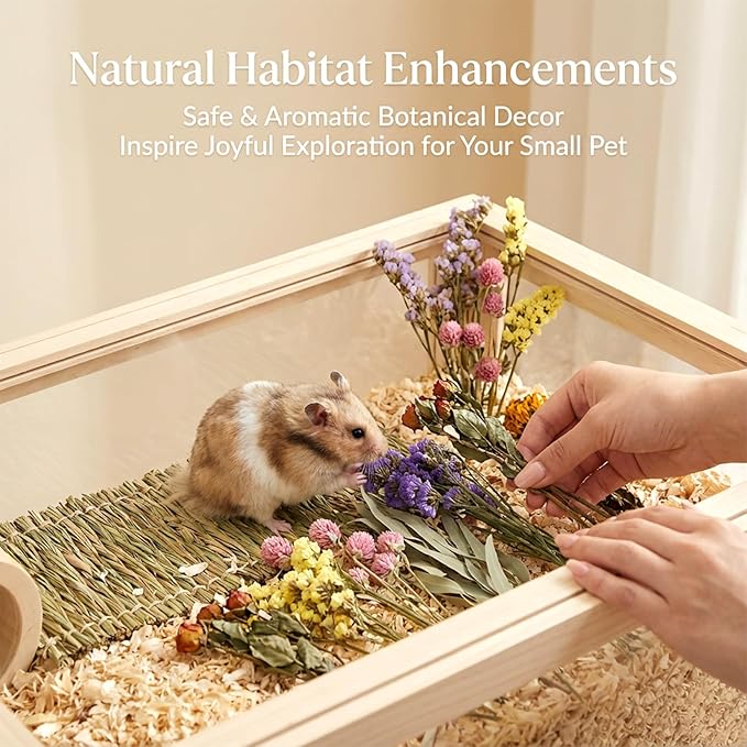 Sukh Hamster Bedding Sprays Habitat Decor - Natural Hamster Cage Accessories with Floral Forage, Layered Small Animal Habitat Decor for Hamster Enrichment, Syrian Hamster Hideout Cage Decor