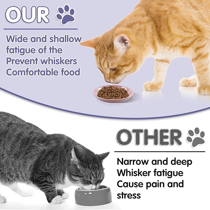 6 Pack Cat Food Bowl, Ceramic Cat Bowls, Anti Whisker Fatigue Cats Bowl Set,5.5 Inches Shallow Wide Kitten Plates for Food and Water (CaiSe-A)