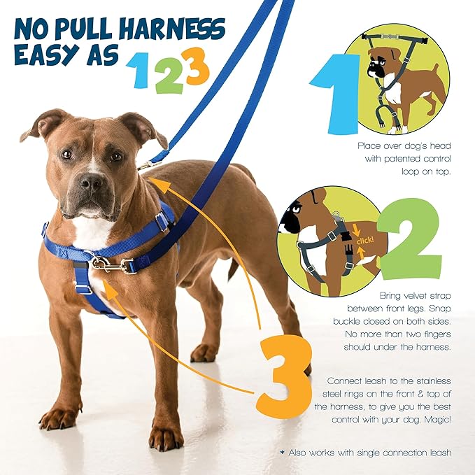 2 Hounds Design Freedom No Pull Dog Harness, Adjustable Harness, Easy Walking & Comfortable Control, Fits Small, Medium & Large Dogs, Solid Colors, Made in USA, 1" LG, Royal Blue