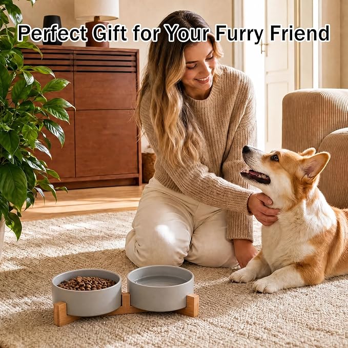MateeyLife Ceramic Dog and Cat Bowls with Stand, 2-Pack Food and Water Bowl Set - Non-Slip Pet Bowls for Cats,Puppies and Small Dogs, 13.5OZ（Grey）