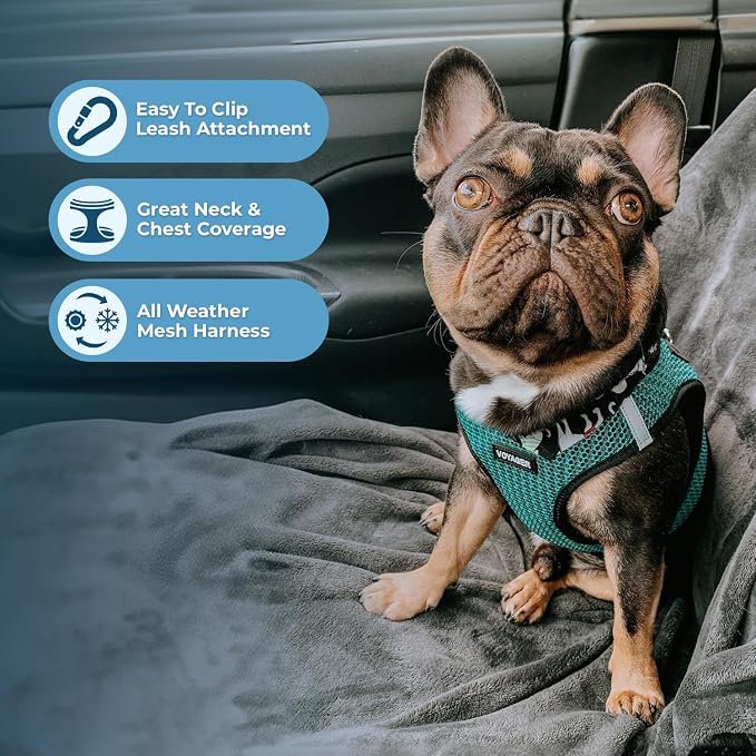 Best Pet Supplies Voyager Step-in Air All Weather Mesh Harness and Reflective Dog 5ft Leash Combo with Neoprene Handle, for Small, Medium and Large Breed Puppies - Set (Turquoise 2-Tone), Medium