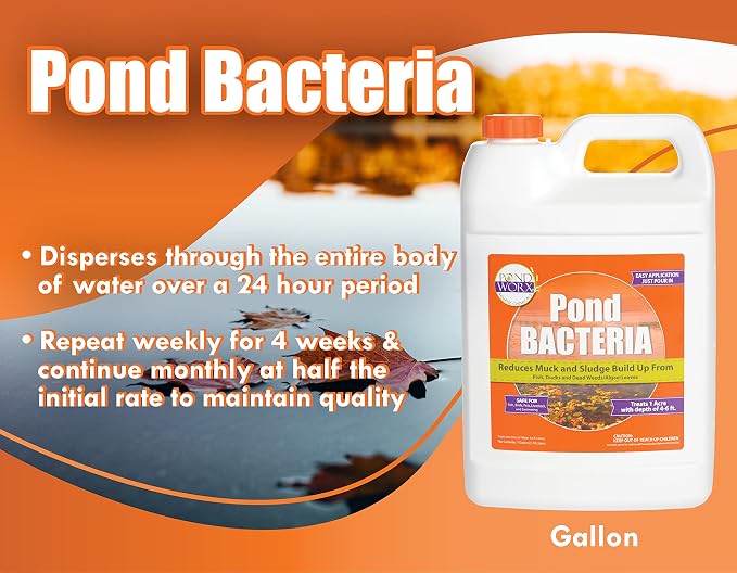 PondWorx Pond Bacteria - Formulated for Large Ponds, Water Features and Safe for Koi - Gallon (Pack of 2)
