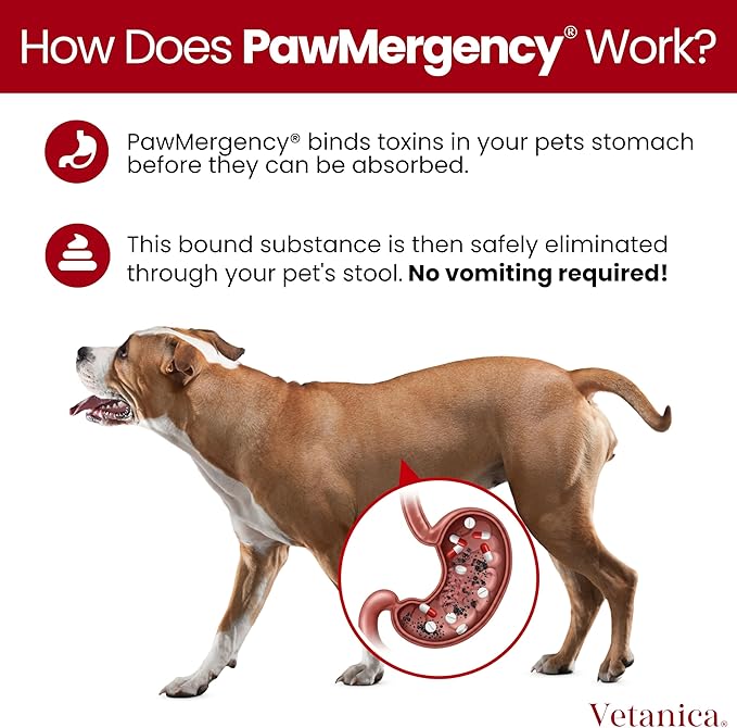 PawMergency – Activated Charcoal First Aid Kit Emergency Rescue for Dogs, Cats, Puppy & Pet Poison Kit, Camping Survival Remedy Essential,Oral Anti Diarrhea Digestive Paste Ready Absorb Toxins
