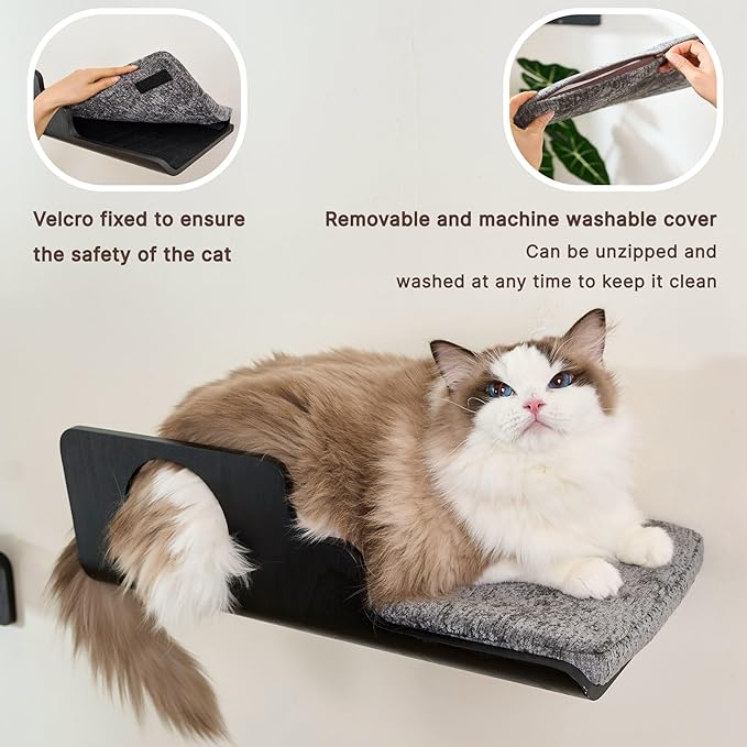 LIORCE Cat Wall Shelves, Creative Design Cat Shelf with Peephole, 19 x 10 inch Cats Wall Furniture with Comfortable Pad, Cats Perch for Sleeping, Playing, and Scratching, Walnut